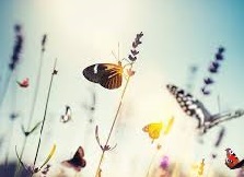 Llega la primavera