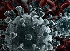 El virus del SARS-COV2